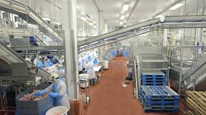 Food Processing Plant Worker Jobs in Toronto, Canada with Visa Sponsorship